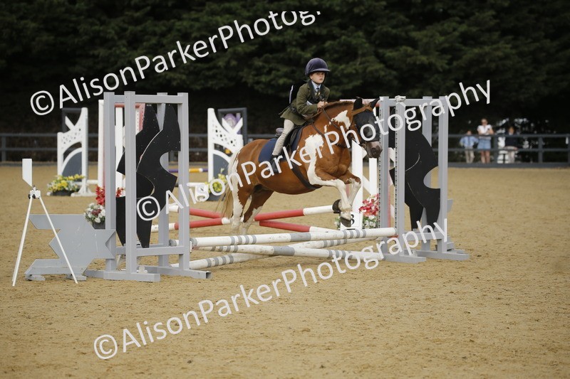 20250622-1294 - 40cm