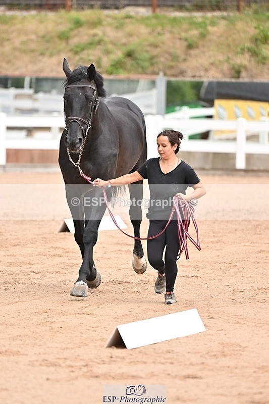 250716-150937-01701 - Trot Up 2.30 to 3.30