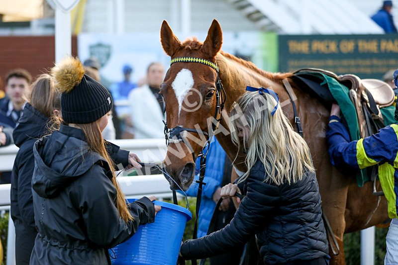 010124-Race 4-Justus-4178 - Race 4