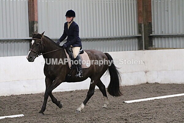 SIAL5119 - CAbin Dressage 5th july 2025