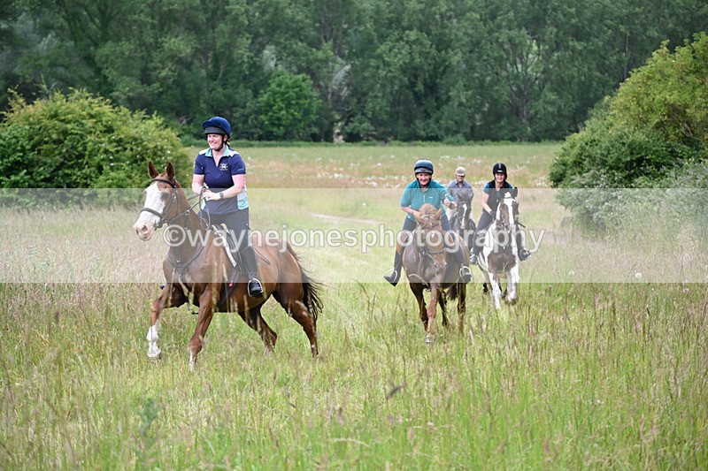 WJ6_8184 - Camera 1 Gallops