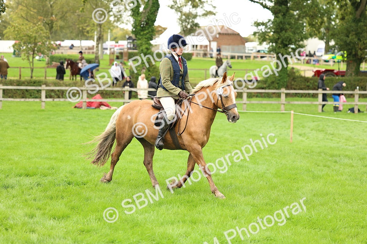 1I0A1441 - S32 - Mountain & Moorland Working Hunter Pony