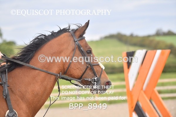 BPP_8949 - CLASS 4 50CM