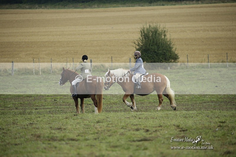 BVRC 120921 1 - Bourne Valley Riding Club UA Dressage & Show Jumping 12/09/21
