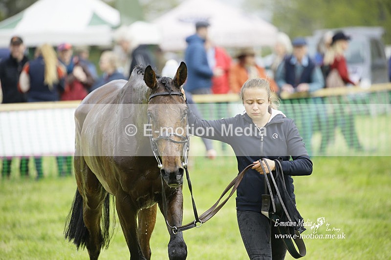 PtP 230422 211 - Berkeley Races - Woodford Glos 23/04/22