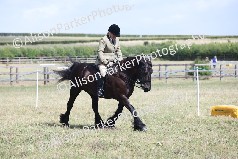 20250831-2914 - Class 19 - Mountain and Moorland