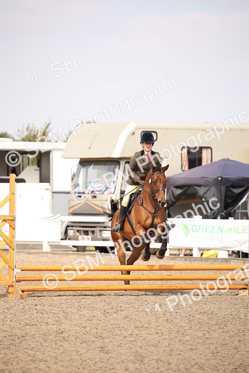 SBM_14142 - Class 407a - Working Veteran 60cm (15-19