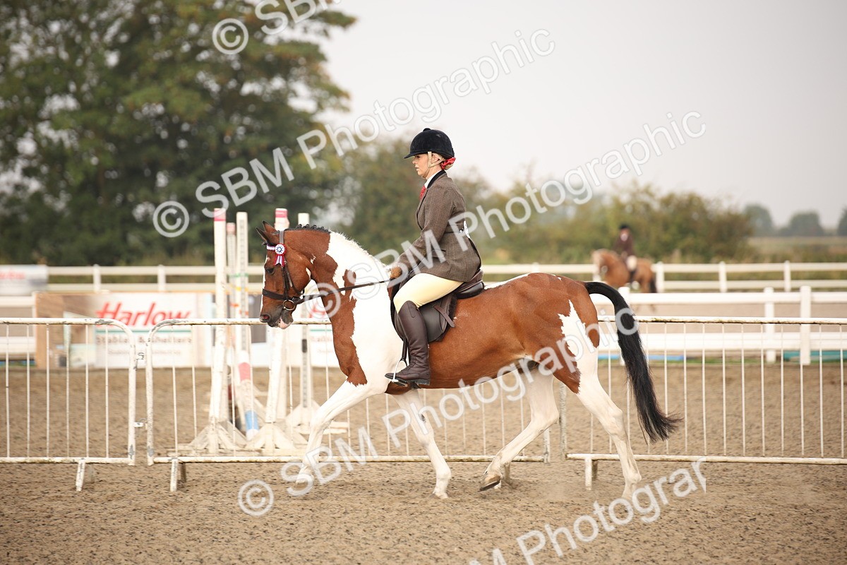 SBM_09737 - Class 401 Riding Club Pony