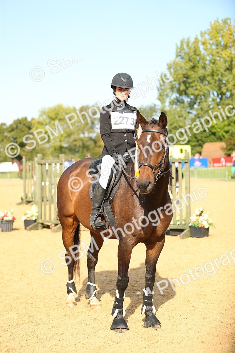 SBM_60426 - J41 - Grand Tour 95cm Championship