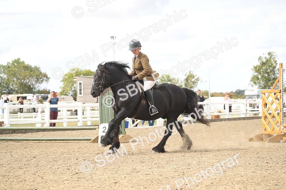 SBM_14541 - Class 505a - M&M Working Veteran - 50cm (15-19)