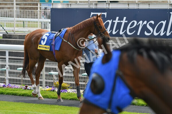 yr12052021r2-6 - Race 2 2.10pm Churchill Tyres Stakes