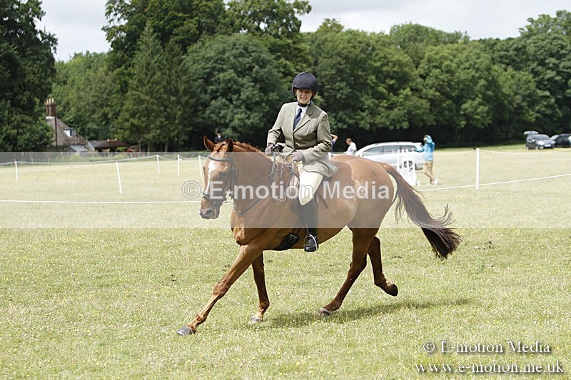 BVR160717-1825 - Ring 3 BVRC Show 16/07/17