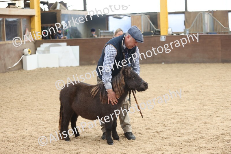 20251109-0192 - Class 10 - Yearling, Colt, Filly or Gelding