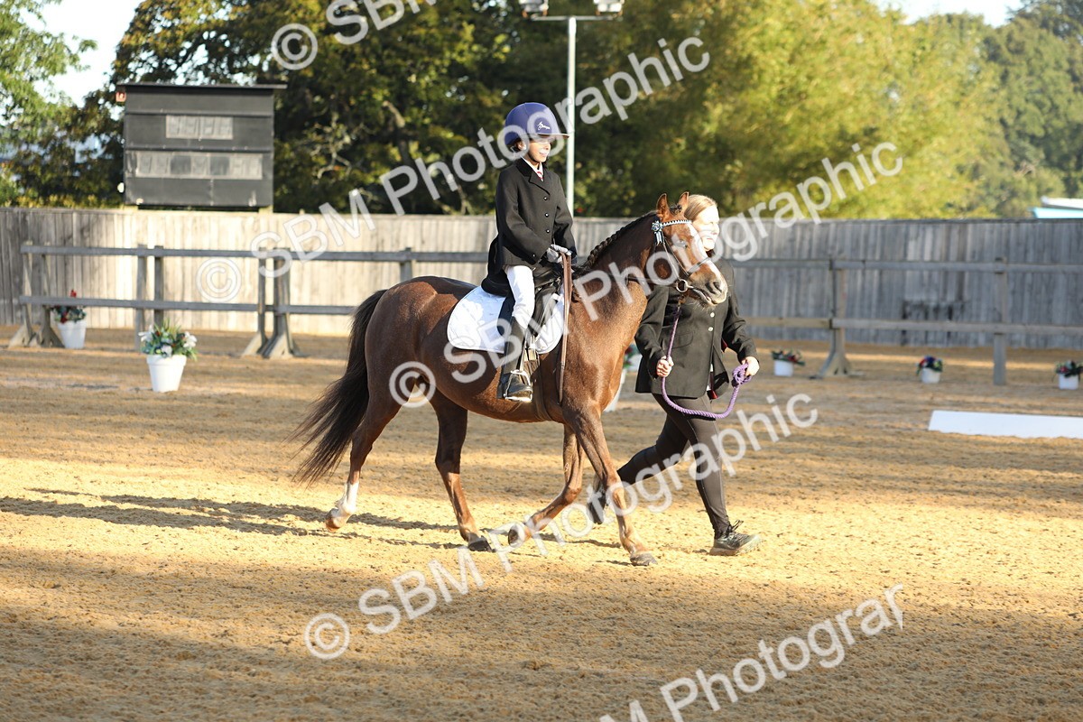 SBM_33637 - D26 - Starers - Lead Rein