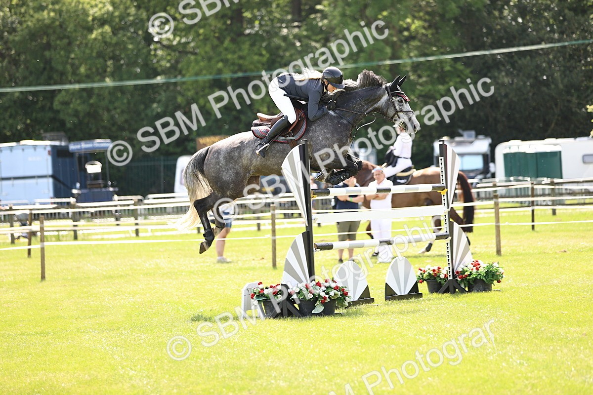 SBM_04028 - Class 201 - British Horse Feedds Speedi Beet HOYS Grade C
