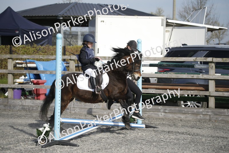 20250412-0136 - Show Jumping