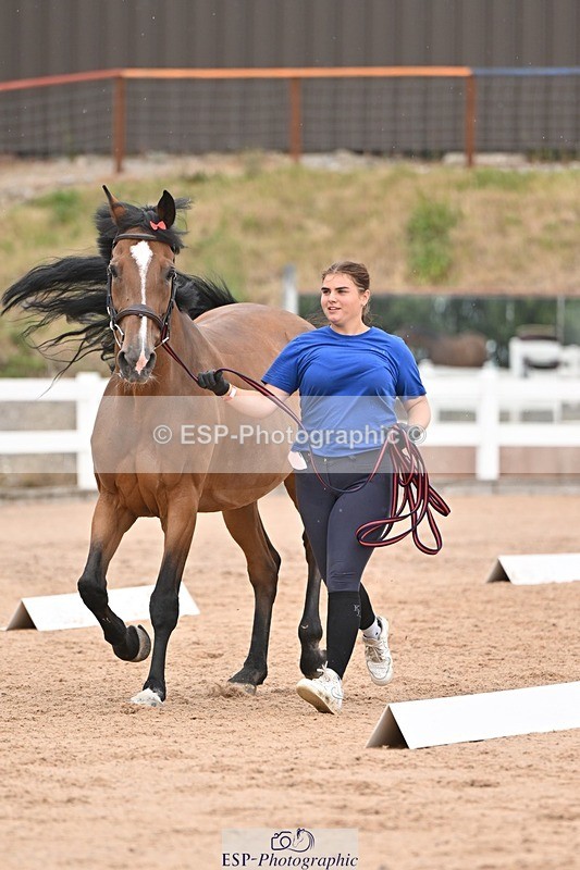 250716-160903-02454 - Trot Up 3.30 to 4.30