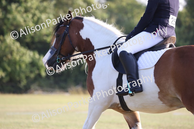 20250731-0805 - Class 1 - Intro 4