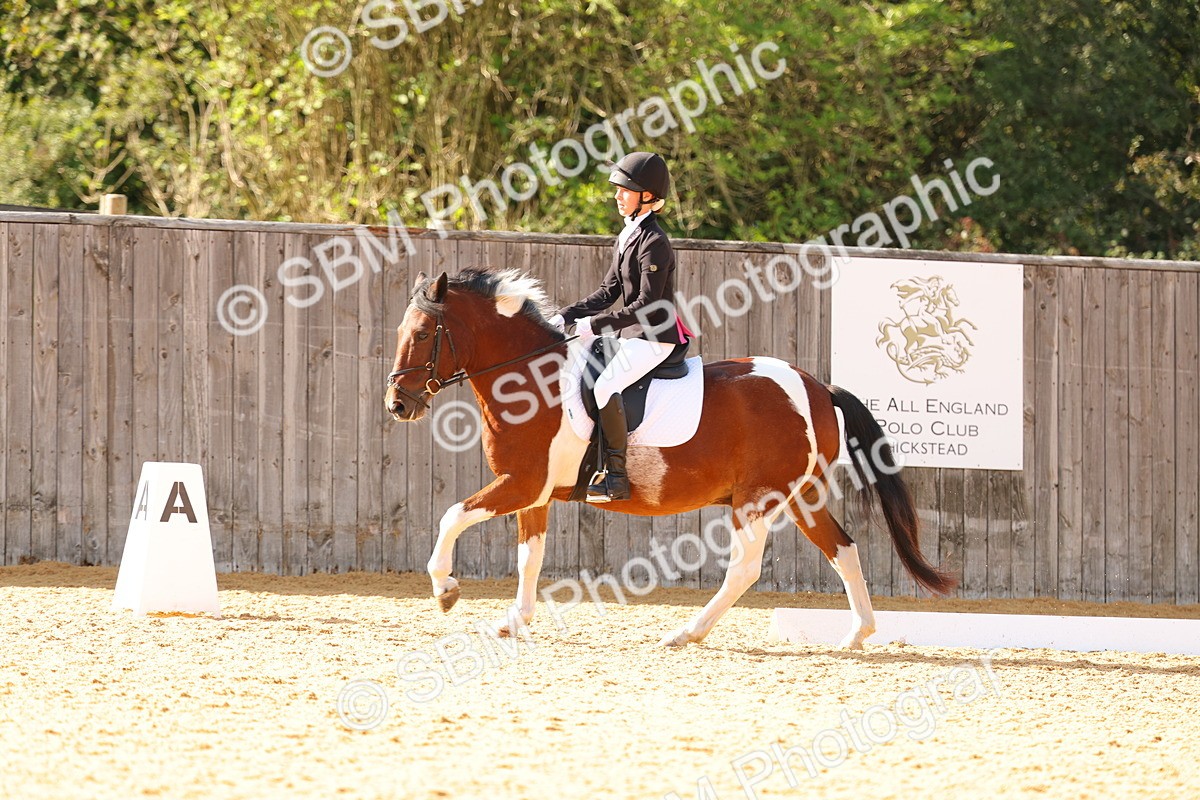 SBM_48433 - D6 - Small Tour Championship - Intro C