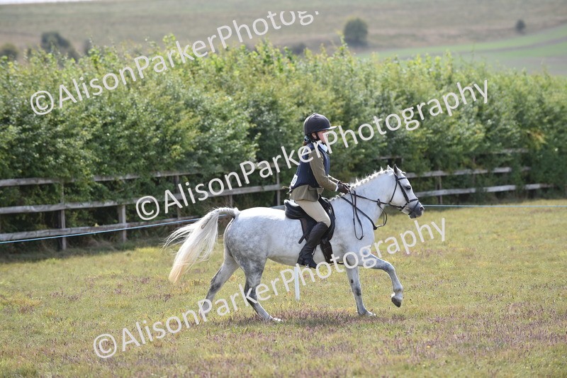 20250831-3950 - Class 11 - Working Hunter Pony 13hh and Under