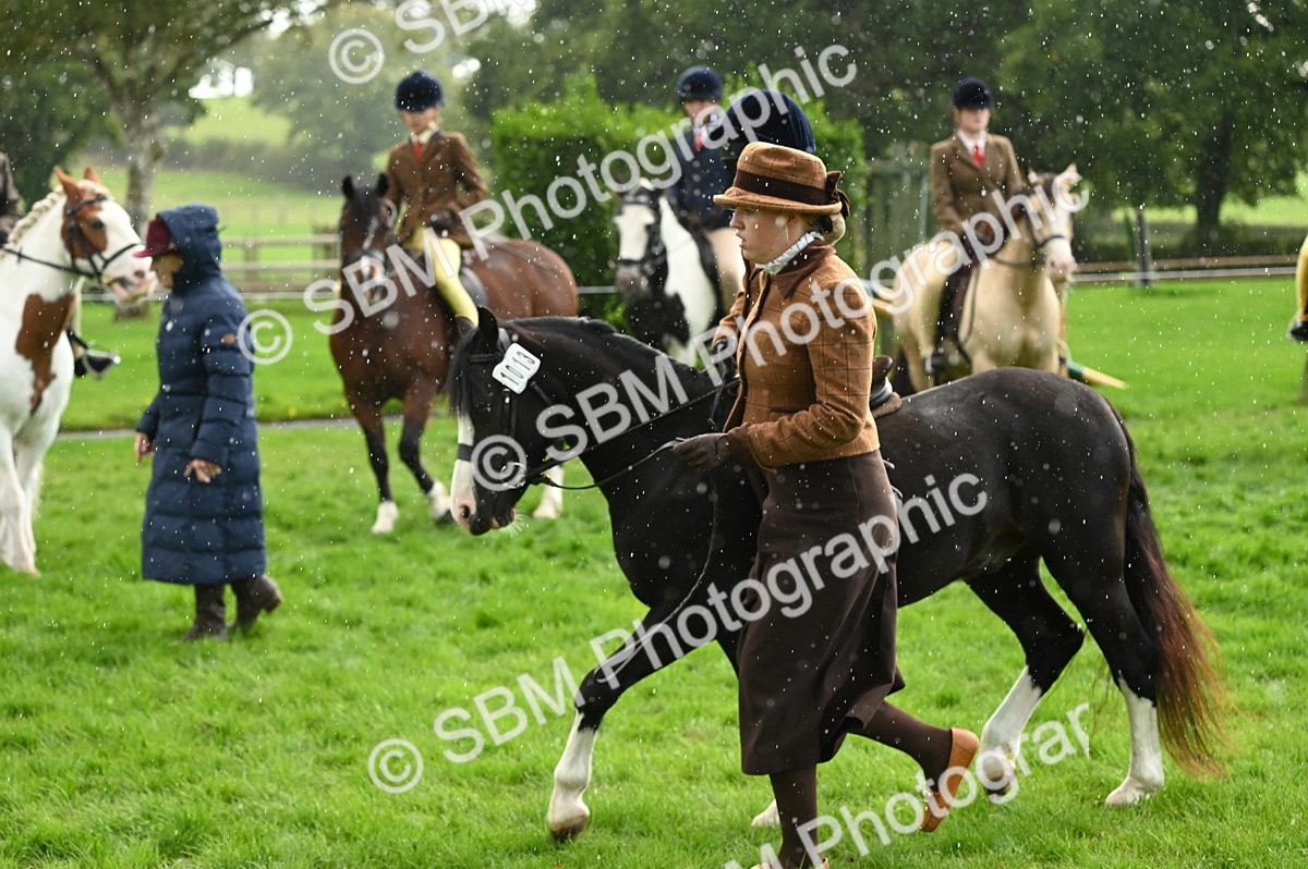 SBM_26637 - S7 - Novice & Newcomer Ridden Pony