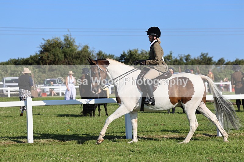 IMG_1237 - Class 27: Ridden Plaited Coloured Horse