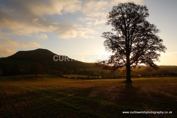 150 - SCOTTISH BORDERS