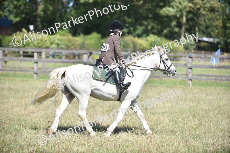 20260906-1705 - Class 9 - Absolute Novice Jumping 45cm