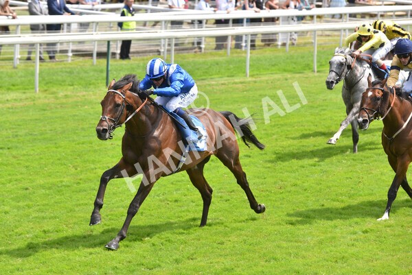 yr10072021r2-16 - Race 2: 2.20pm John Smith's Silver Cup Stakes