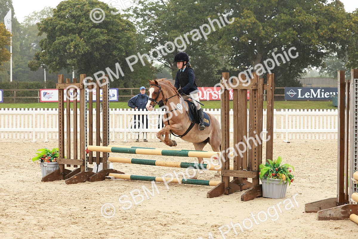 SBM_73329 - Supreme Championship Junior Pony 60cm & 65cm