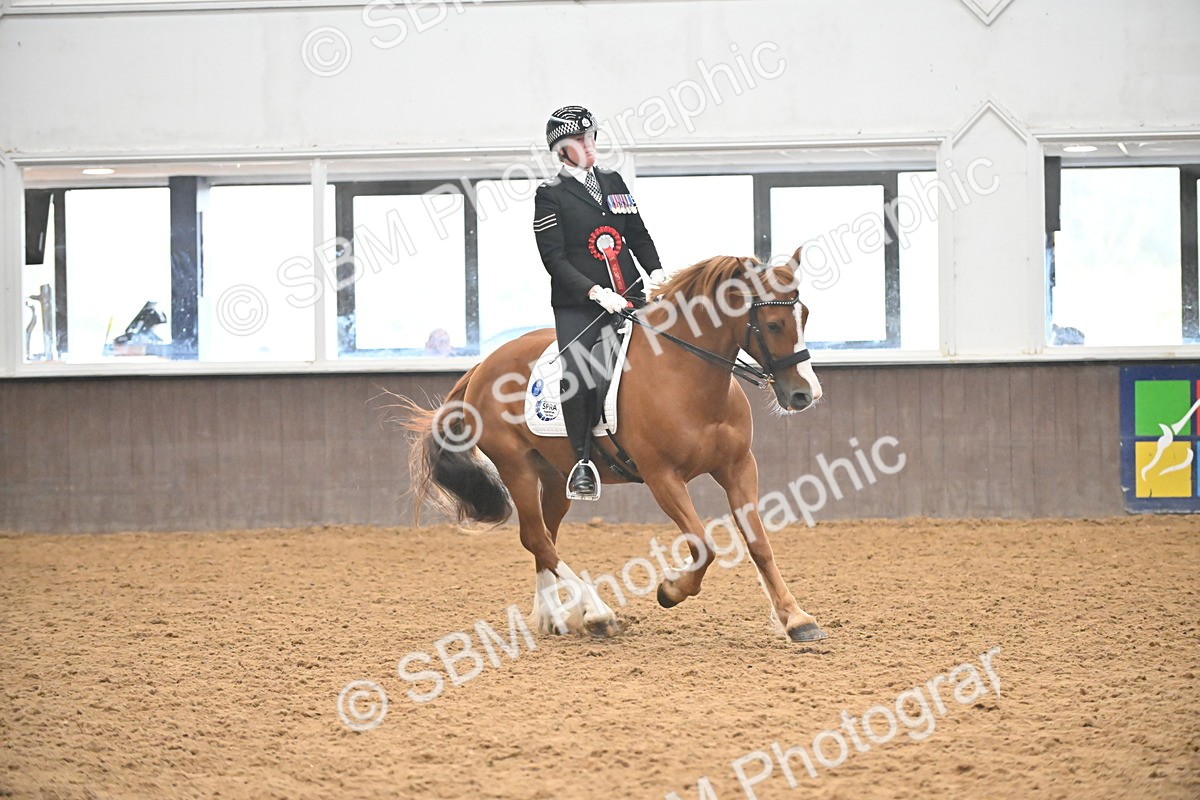 SBM_002747 - Ridden Showing Supreme Championships