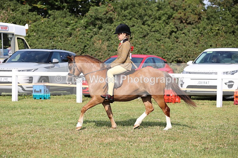 JPP_0533 - Class 15: Cornish Combination First Ridden
