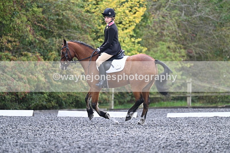 WJ7_3993 - Time 11:04 to 11:38