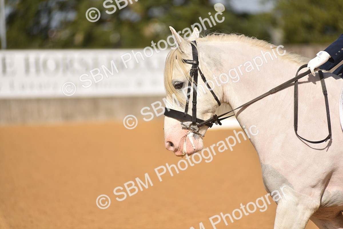 SBM_02960 - D4 - Small Tour Championship Intro 4