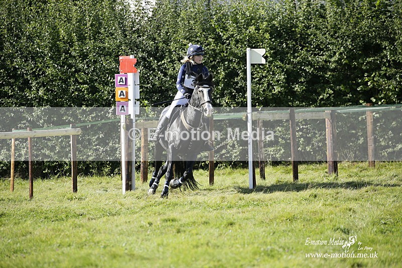  WWHT 031021 1560 - Open Novice (0.80m) 03/10/21