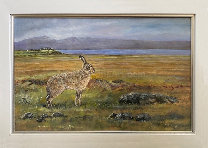 Freedom. - Widlife/Nature