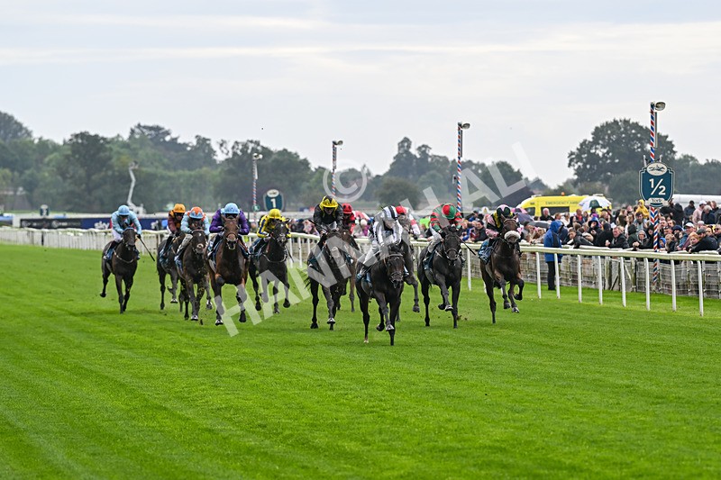 060926-Race 1-Mezzo Forte-6788 - Race 1 1.30pm Irish Thoroughbred Marketing 'Confined' EBF Maiden Stakes