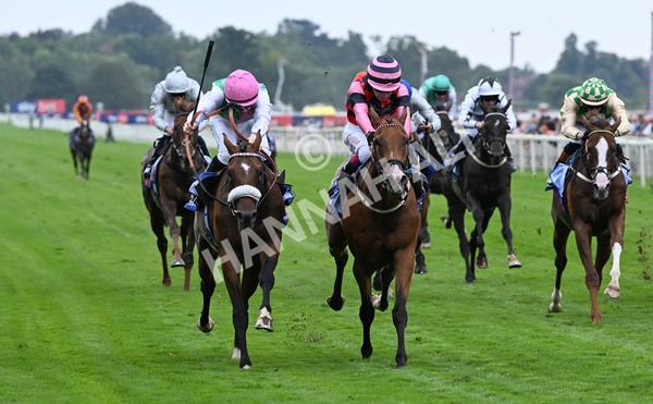 230825-035 Tarriance - Race 2 2.25pm Sky Bet Melrose Handicap