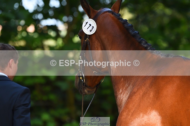 230524-170940-01314 - 173-HARIBO_LOUVO-Gaspard_Maksud-WEDTrotUp+DR