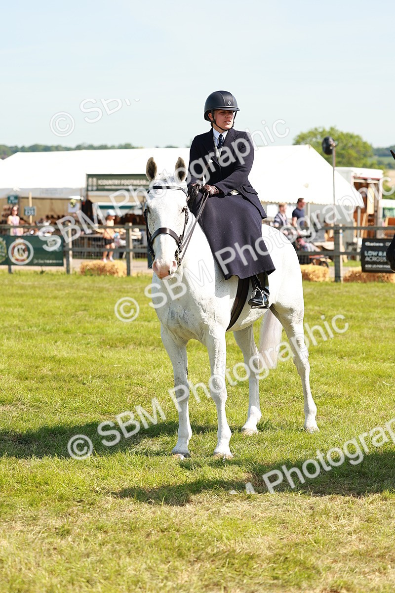 SBM_13230 - Class 70-71 - Side Saddle