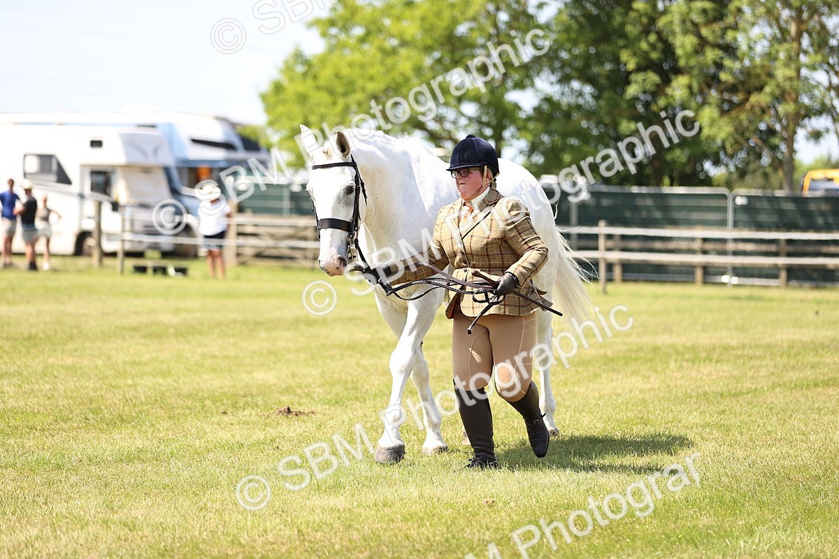 SBM_16170 - Class 79-80 - LIHS BSHA Rising Star Ridden Hunter