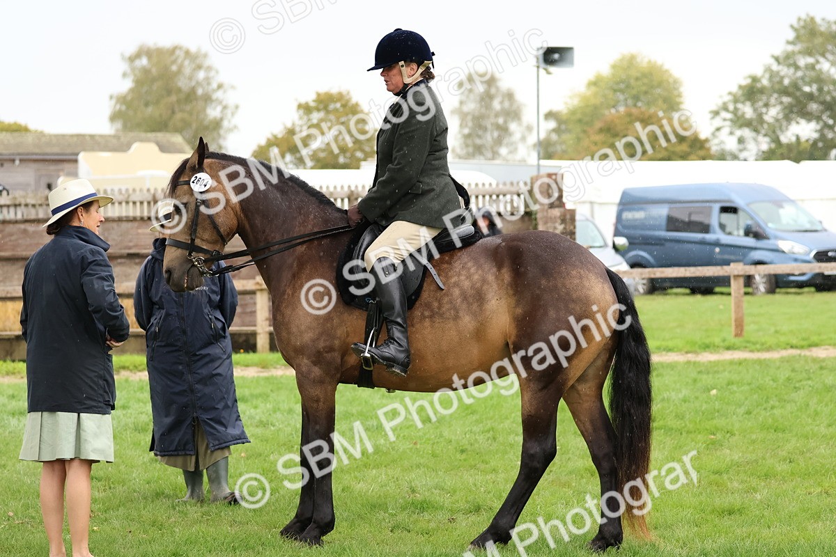 SBM_45045 - S27 - Young Veteran Ridden