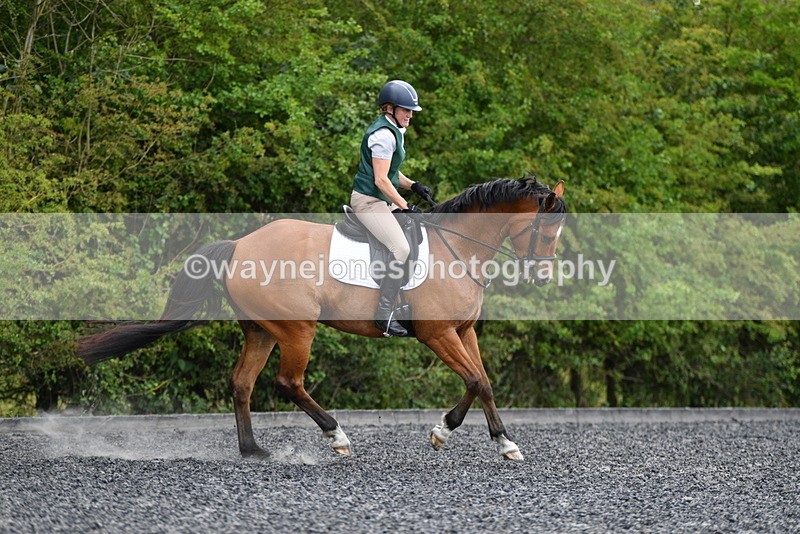 WJ5_0213 - Time 11:47 to 12:21