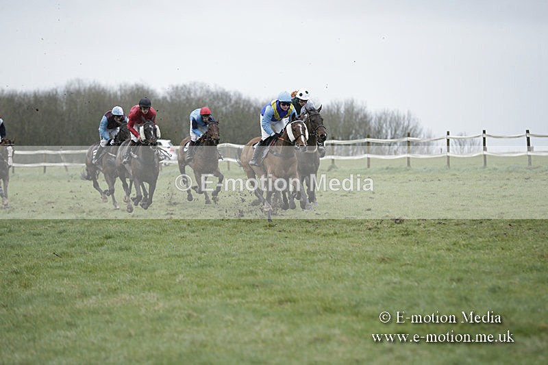 PtP 150320 0288 - New Forest Point-to-Point Larkhill 15/03/20