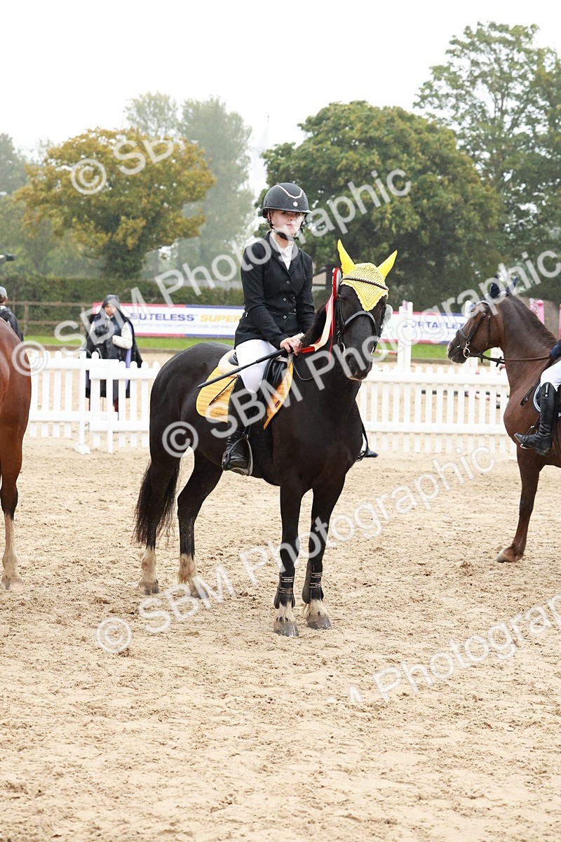 SBM_73601 - Supreme Championship Junior Pony 60cm & 65cm