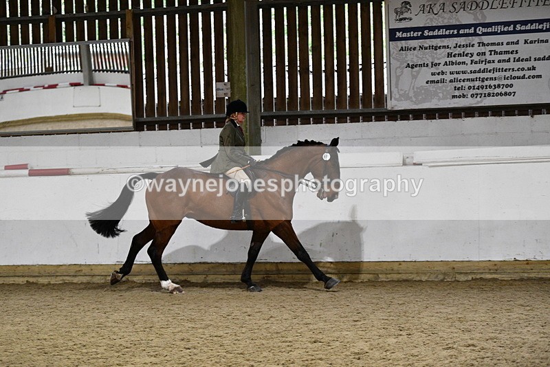 WJ5_8864 - Class 15 Ridden Show Horse