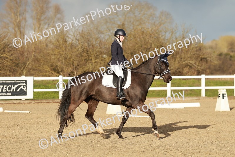 20260314-6329 - CT7 - Elementary 2