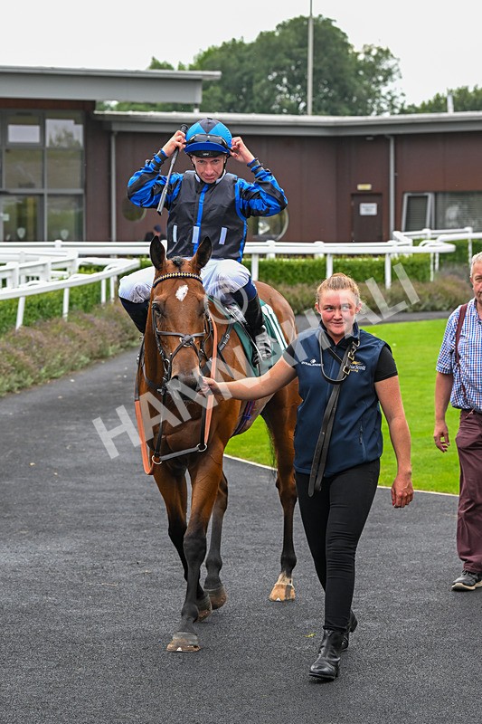 280824-Race 3-Too Much Too Young-4267 - Race 3