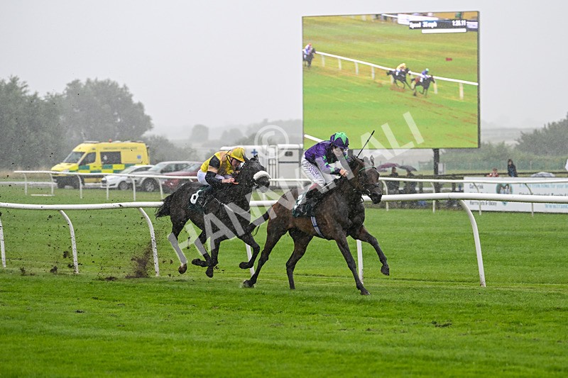 230725-Race 2-Magic Box-9885 - Race 2