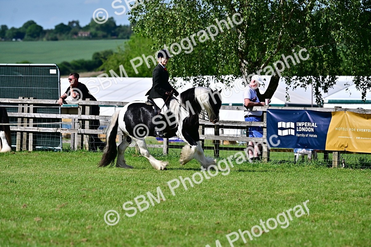SBM_09345 - Class 63-65 - Traditional Gypsy Cobs In Hand & Ridden